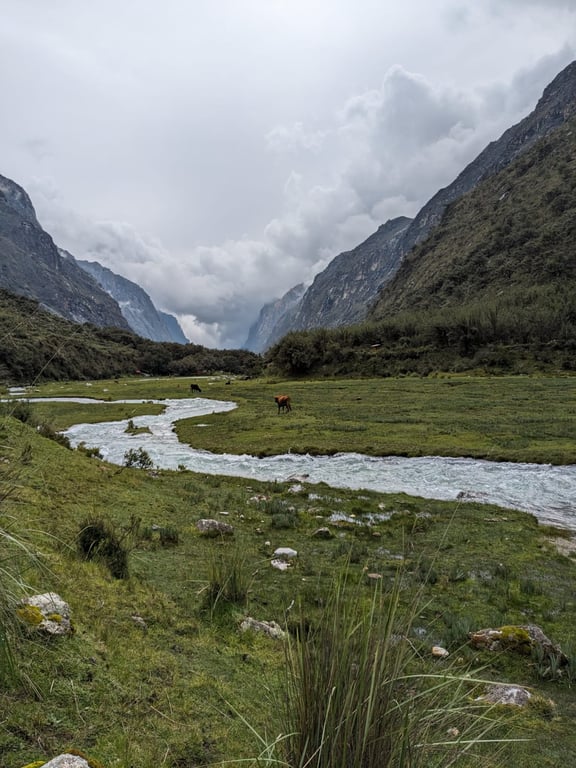 Laguna 69