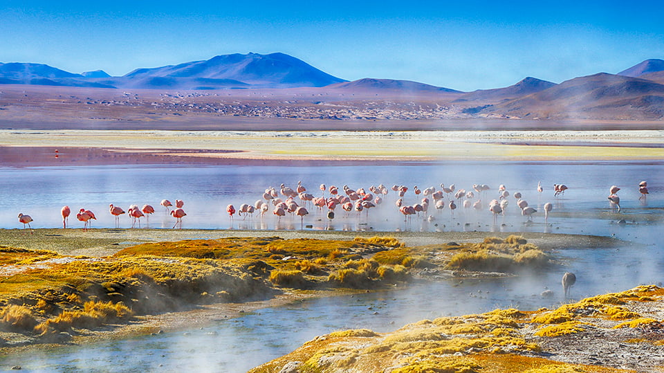 Laguna Colorada