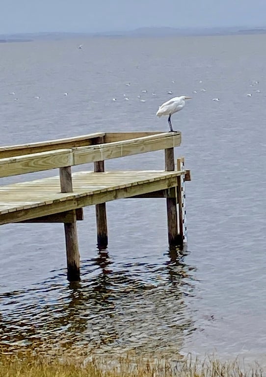Laguna de Rocha