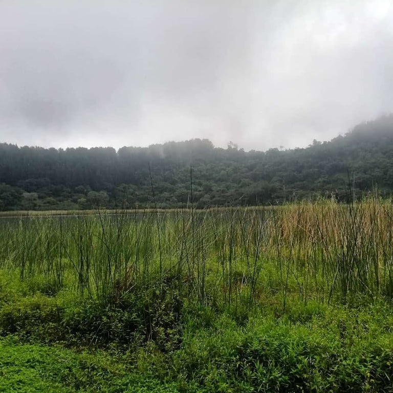 Laguna Verde, Apaneca