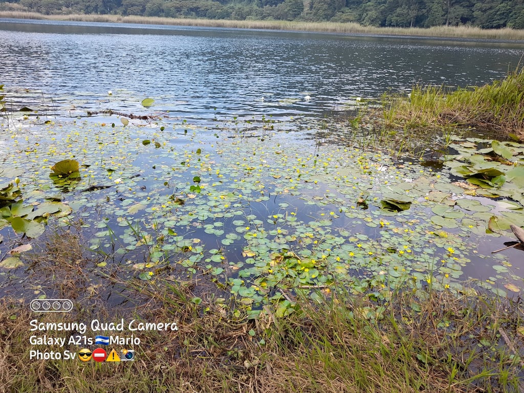 Laguna Verde, Apaneca