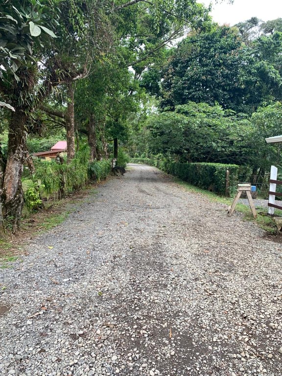 Laguna Hule Lookout