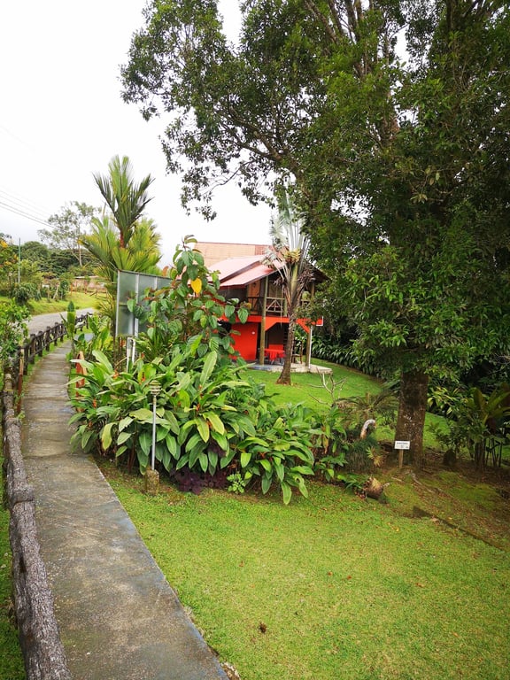 Laguna Hule Lookout