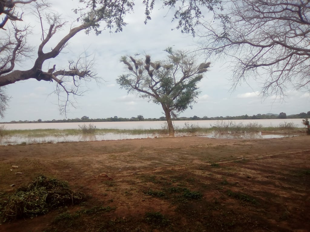Lake Bam
