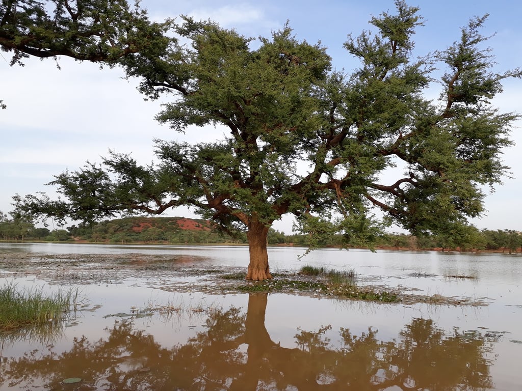 Lake Bam