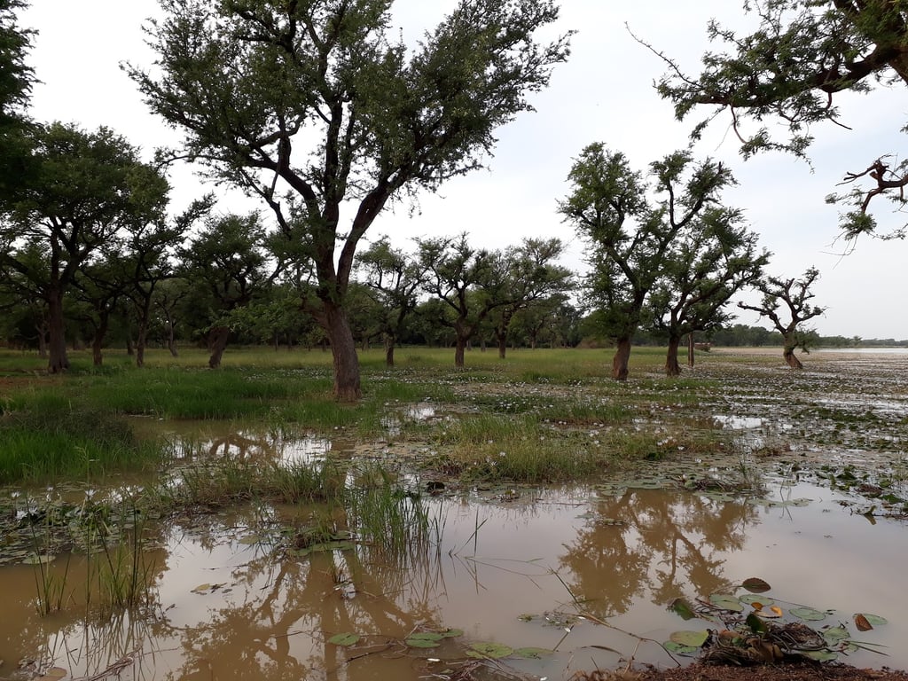 Lake Bam
