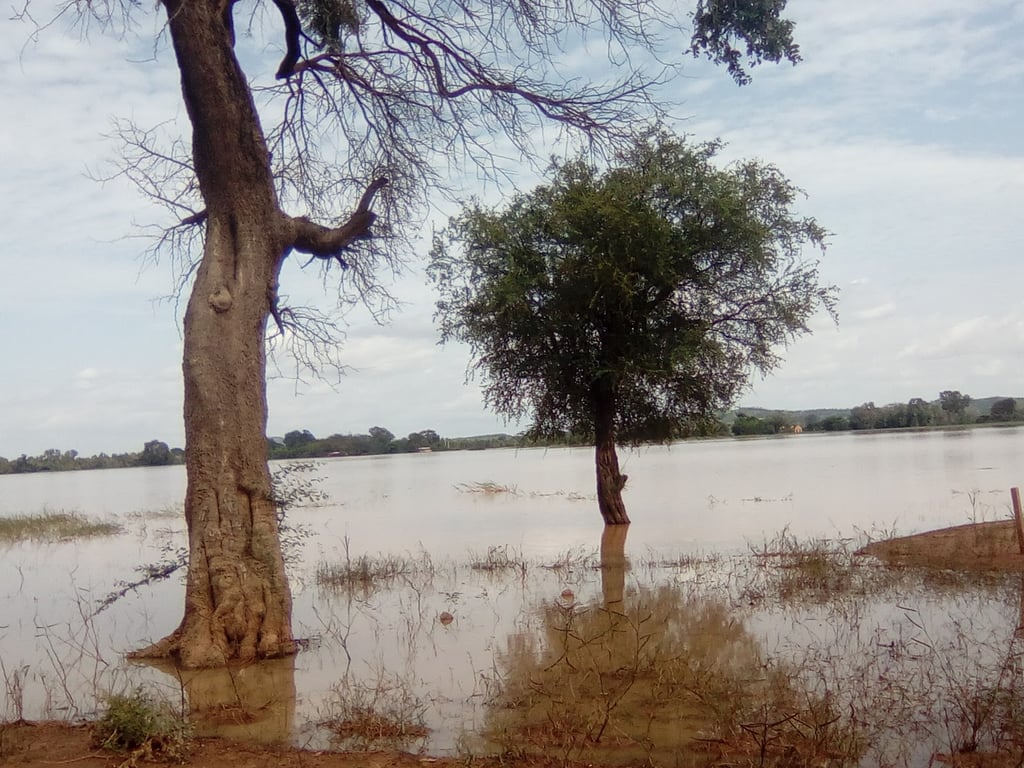 Lake Bam