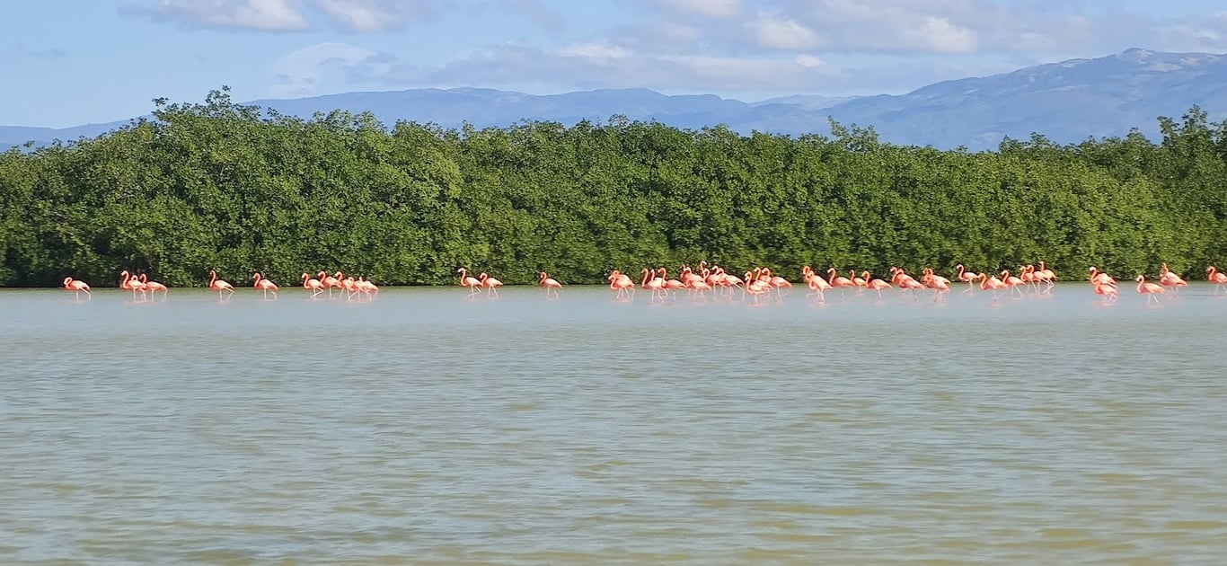 Lake Enriquillo