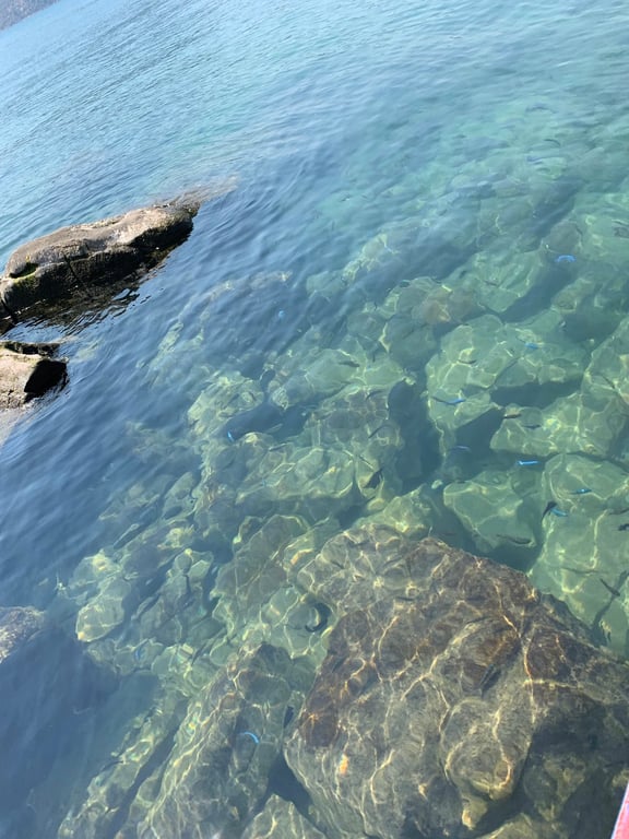 Lake Malawi National Park