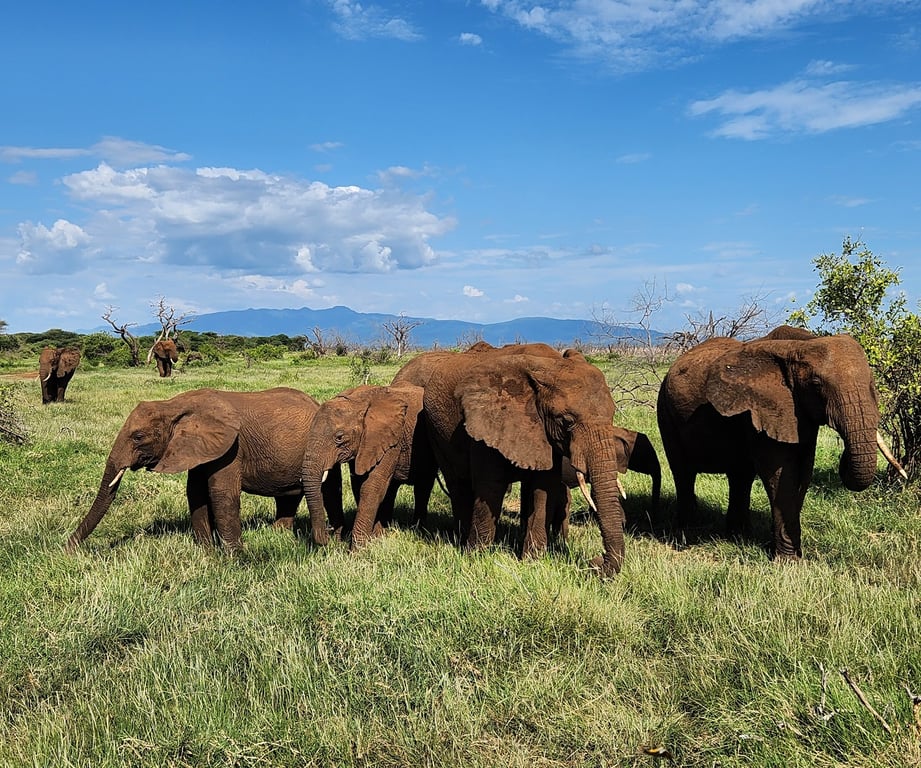 Lake Manyara National Park