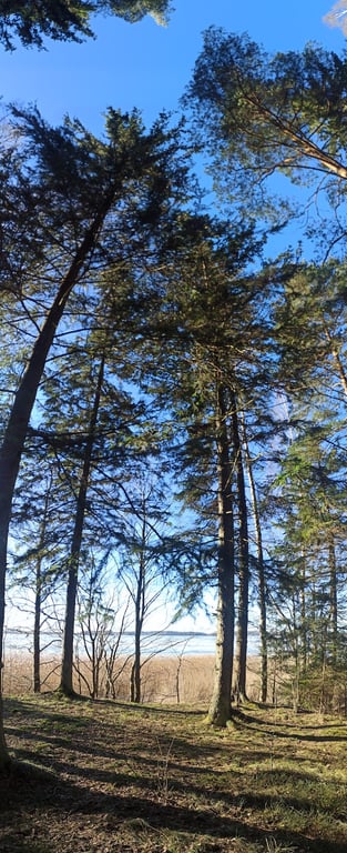 Lake Plateliai