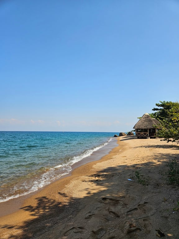 Lake Tanganyika Shore