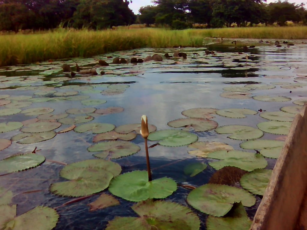Lake Tengrela