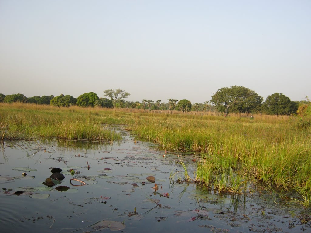 Lake Tengrela