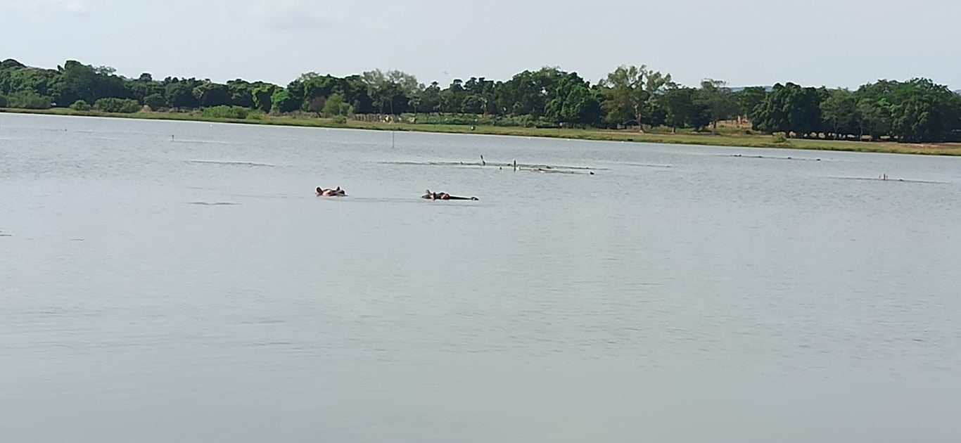 Lake Tengrela