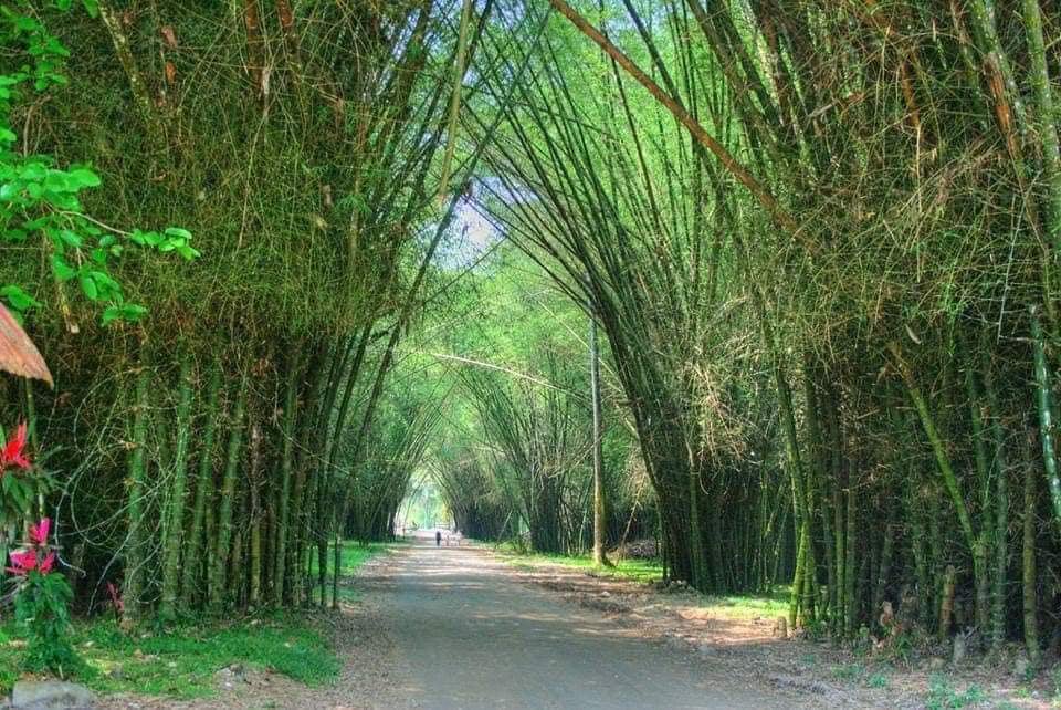 Lancetilla Botanical Garden