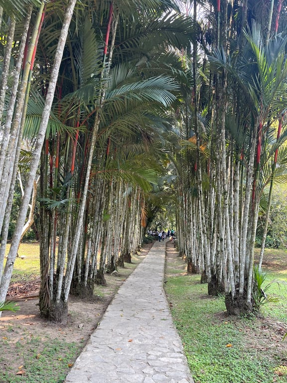 Lancetilla Botanical Garden