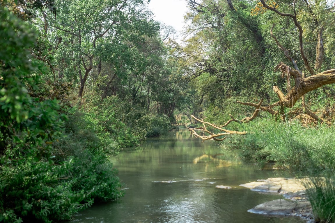 Lilongwe Wildlife Centre