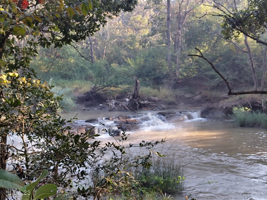 Lilongwe Wildlife Centre