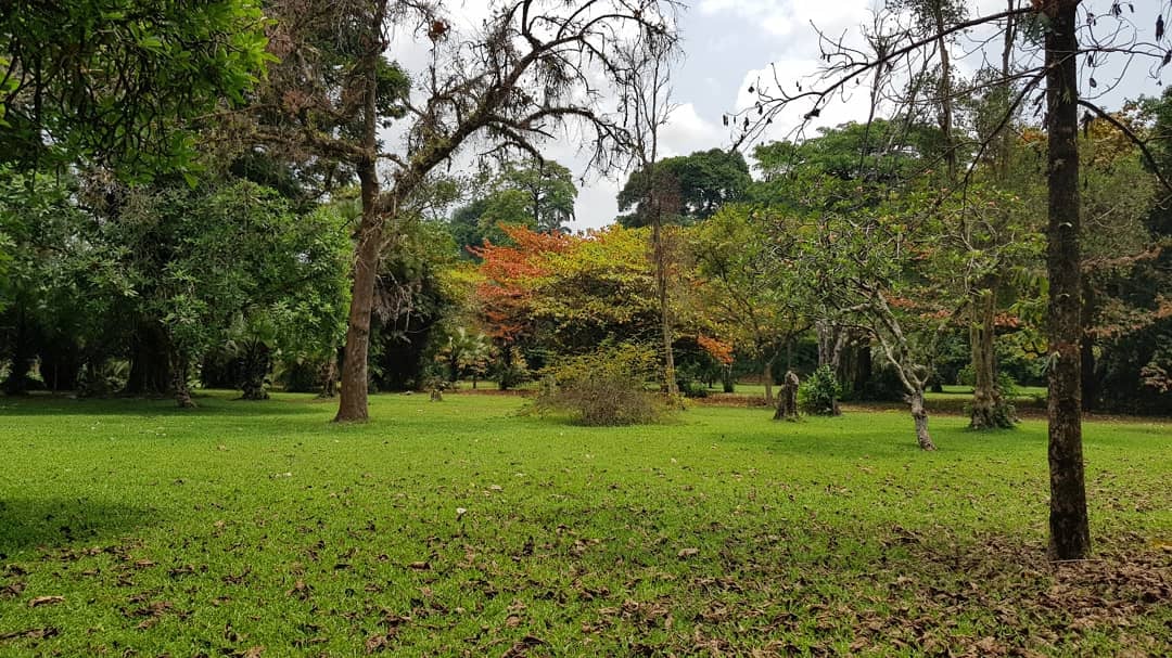 Limbe Botanical Garden
