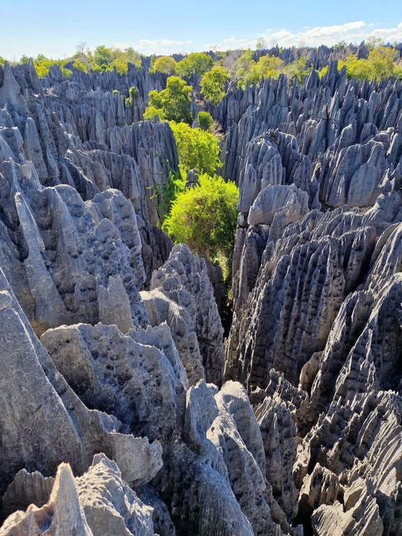 Limestone Pinnacles