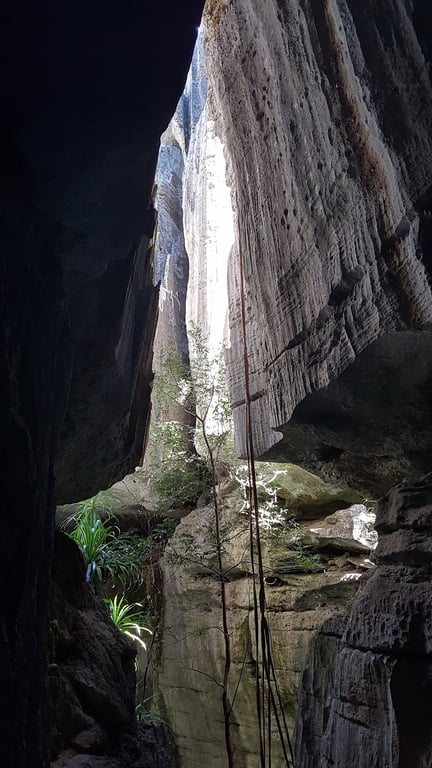 Limestone Pinnacles