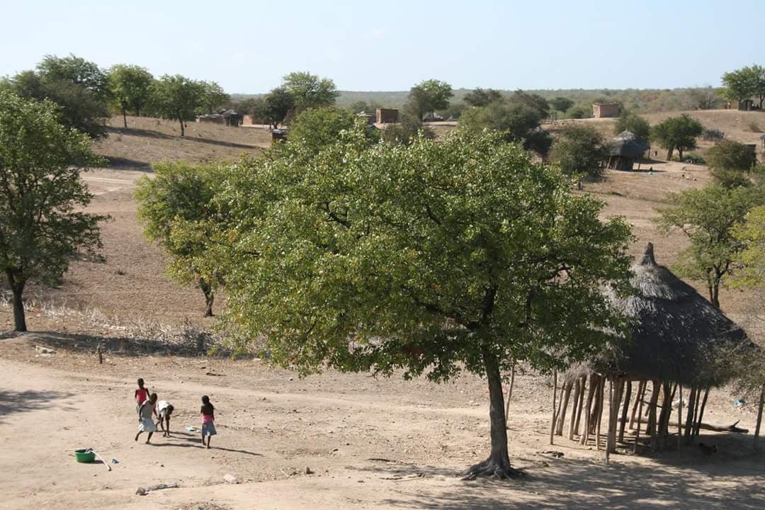 Limpopo National Park