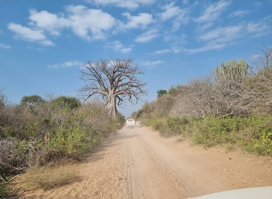 Limpopo National Park