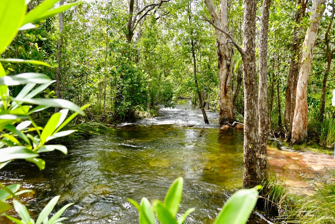Litchfield NP