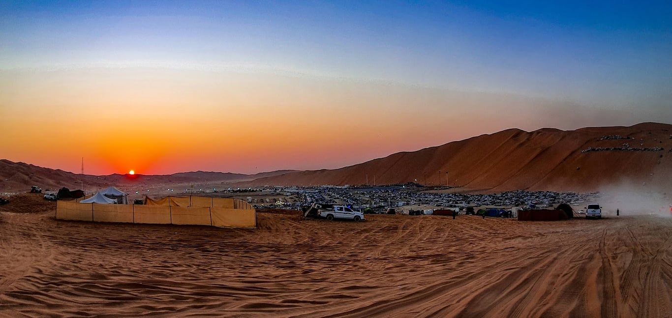 Liwa Desert Rose Dunes