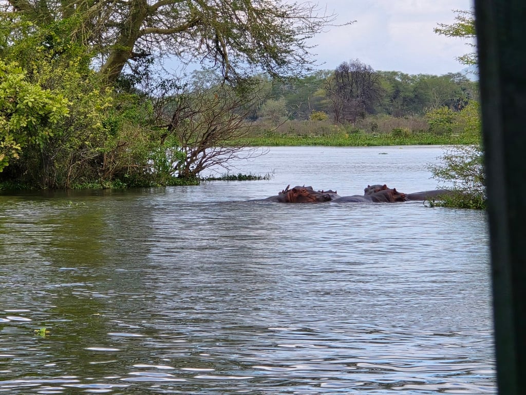 Liwonde National Park