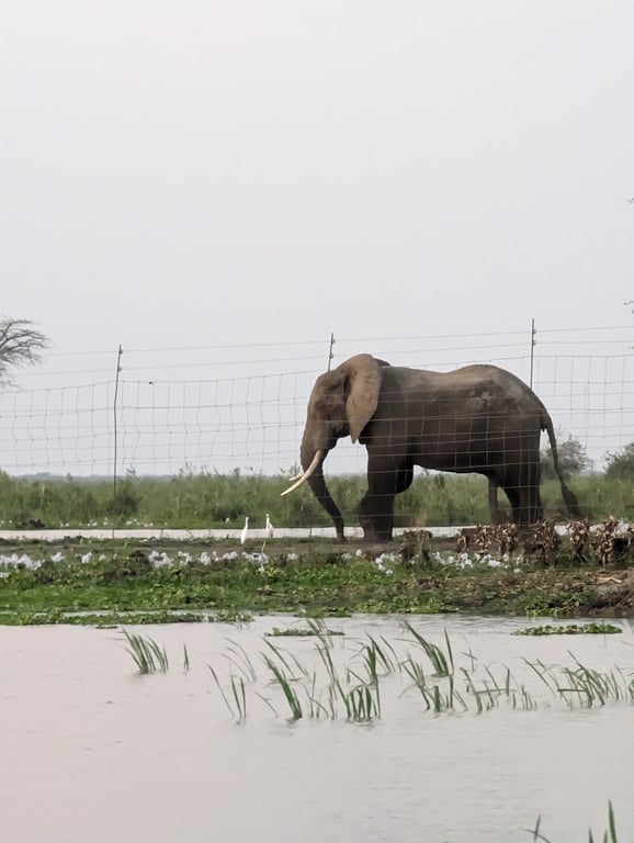 Liwonde National Park