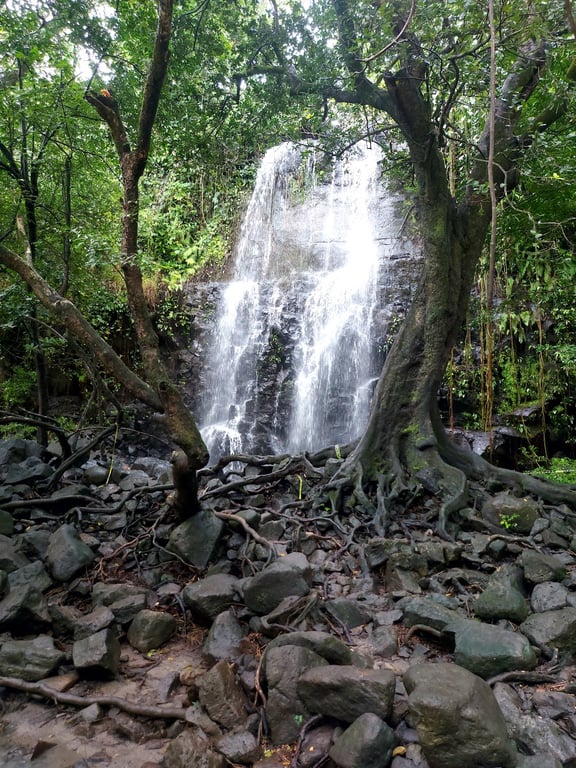 Llanos de Cortés Waterfall