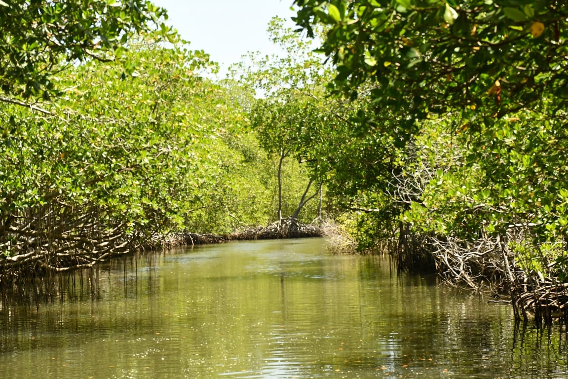 Los Haitises National Park