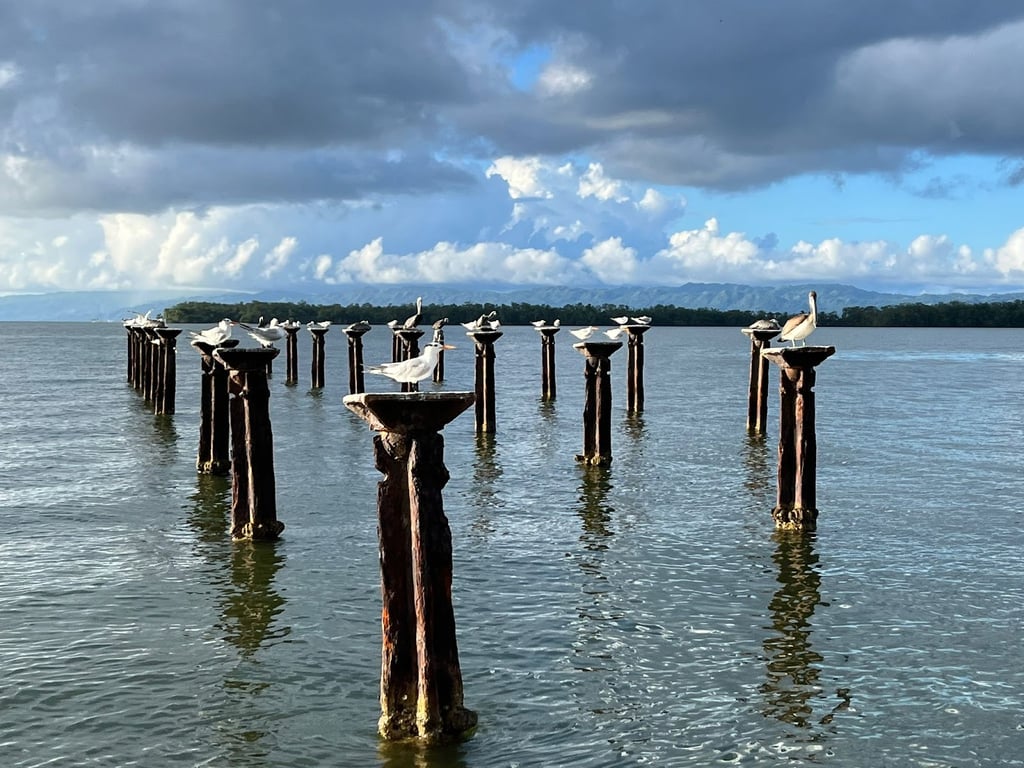 Los Haitises National Park