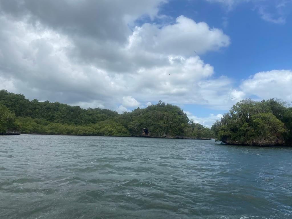 Los Haitises National Park