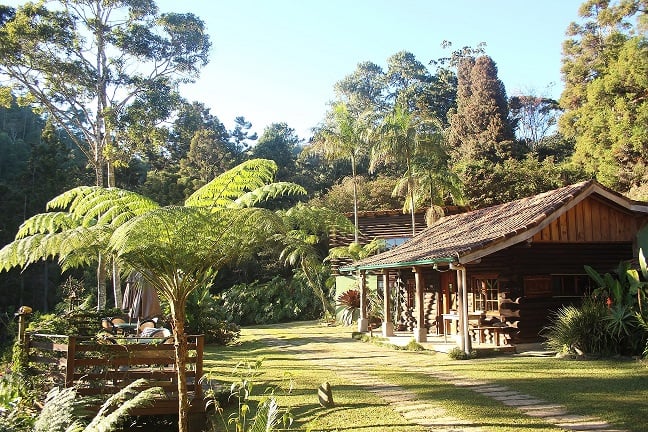 Lodge on stilts in flooded forest
