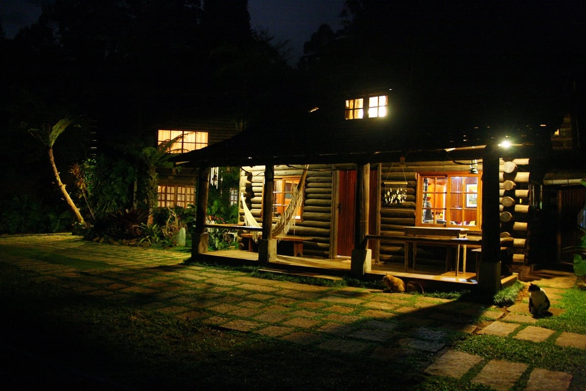 Lodge on stilts in flooded forest