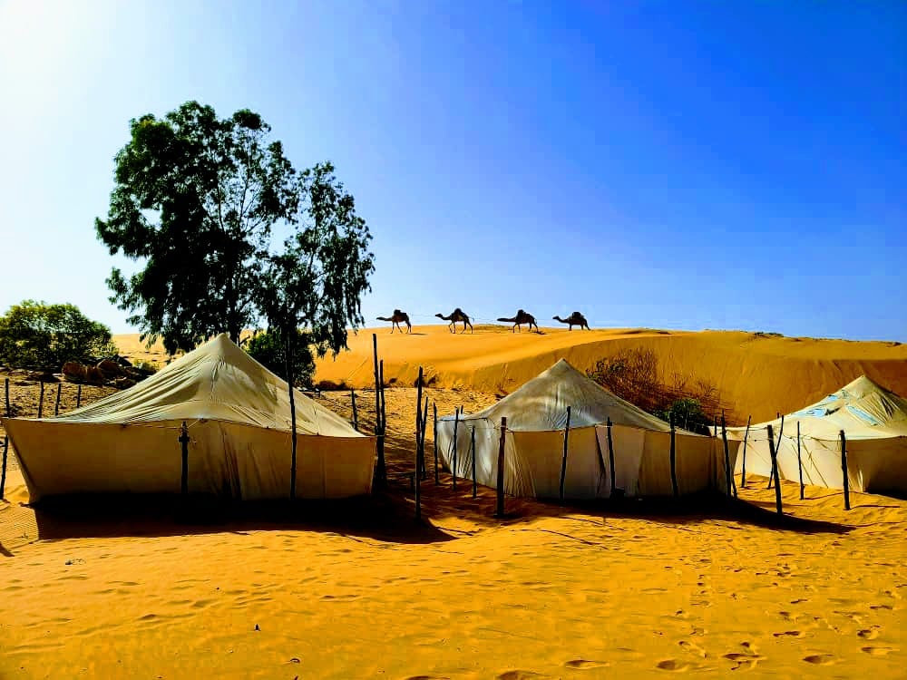 Lompoul Desert