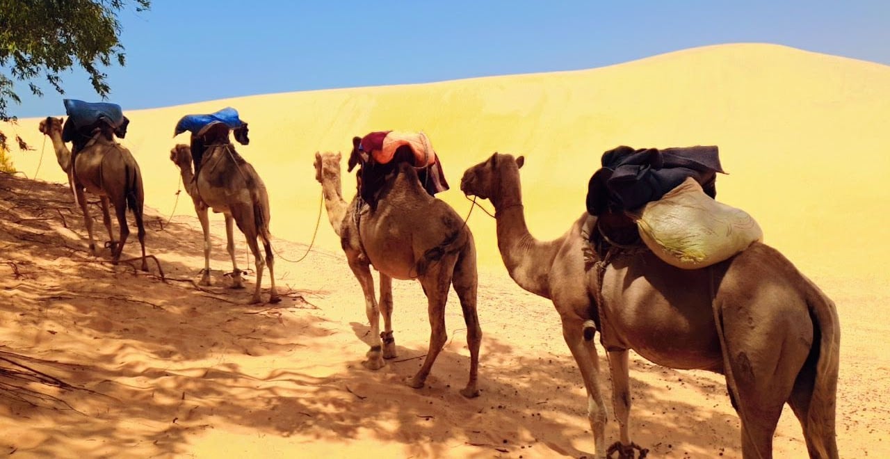 Lompoul Desert