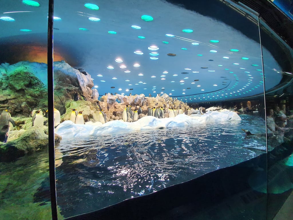 Loro Parque