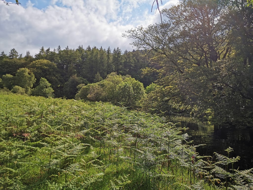 Lough Tay
