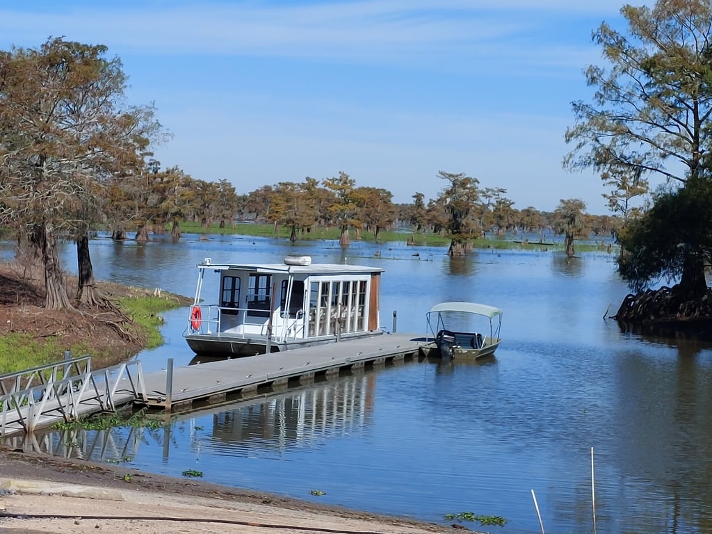 Atchafalaya Swamp Airboat Tour