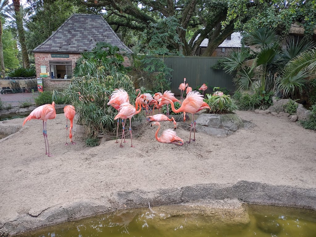 Audubon Park