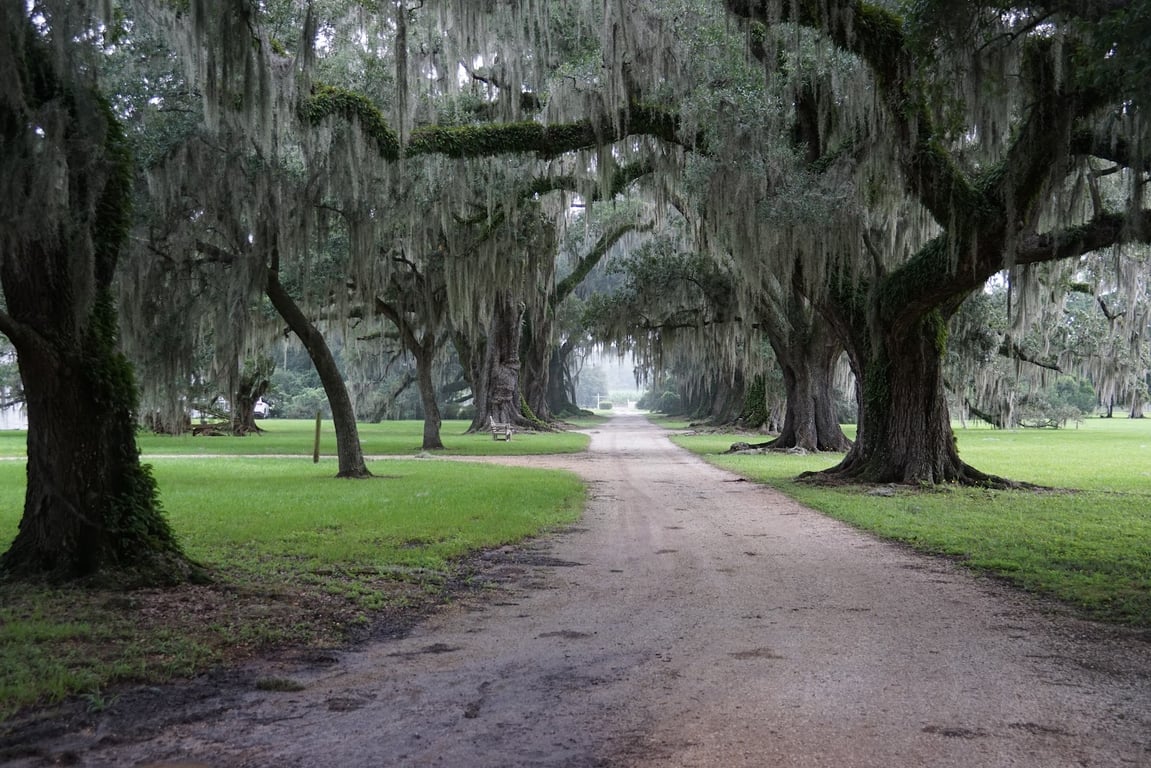 Evergreen Plantation