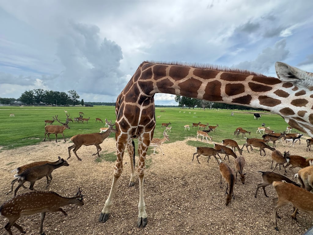 Global Wildlife Center