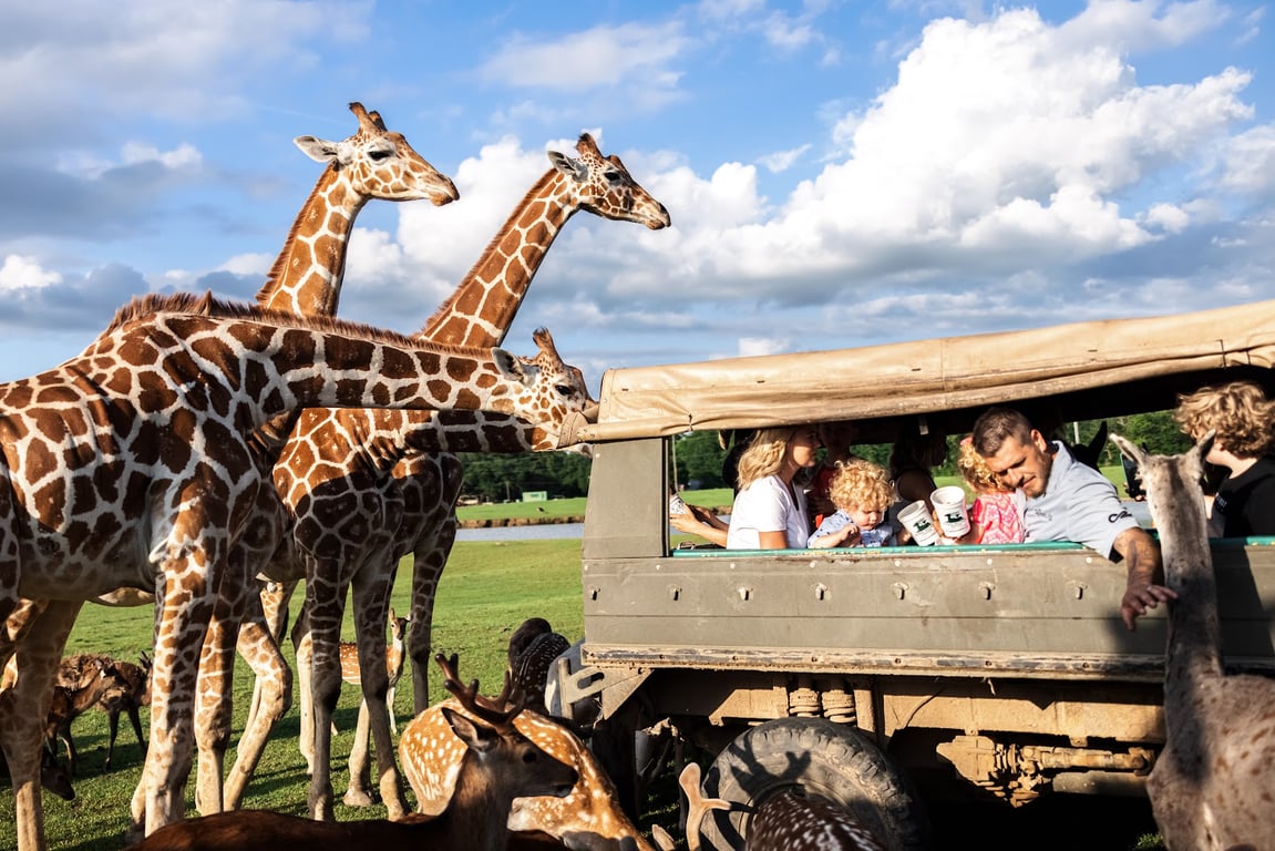 Global Wildlife Center