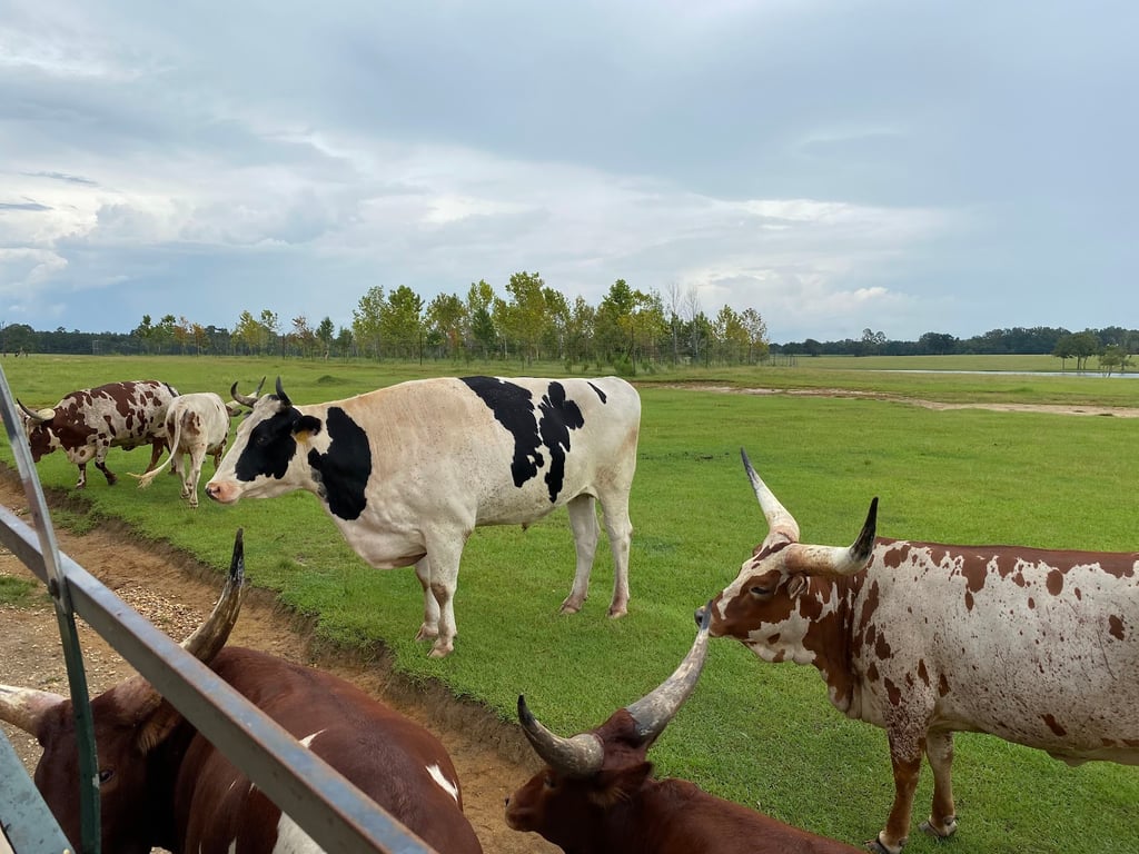 Global Wildlife Center