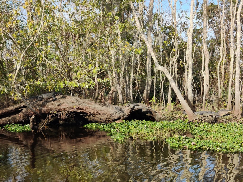 Jean Lafitte National Historical Park