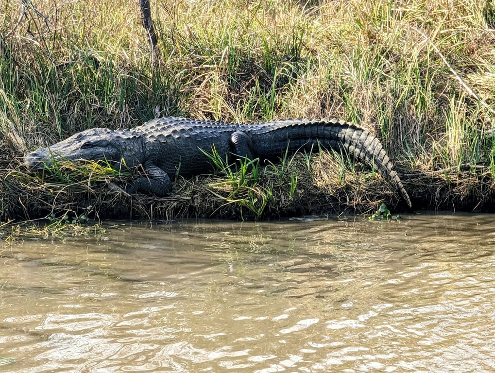 Jean Lafitte National Historical Park